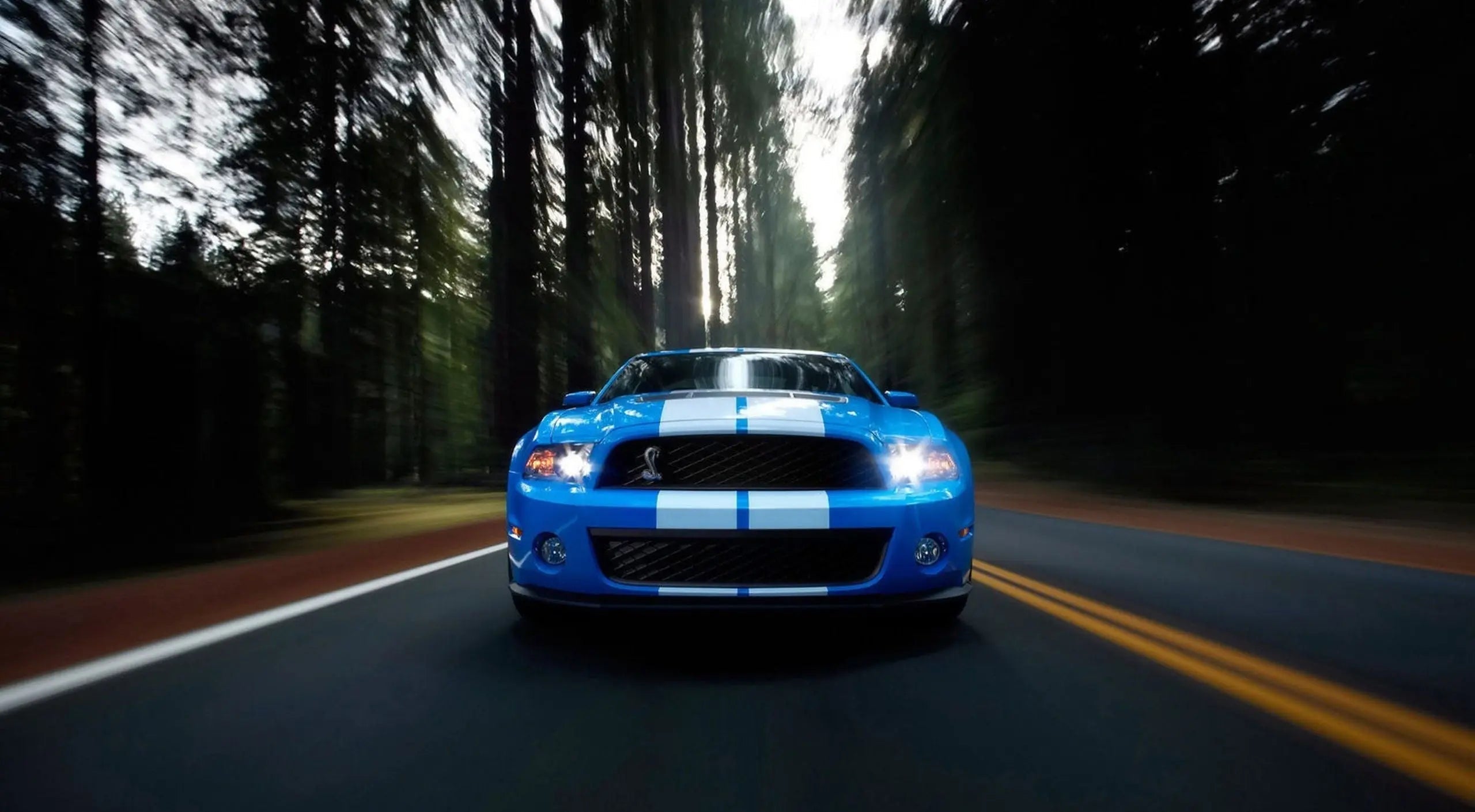 5 great choices if you're decorating your Ford for the holidays Flashark