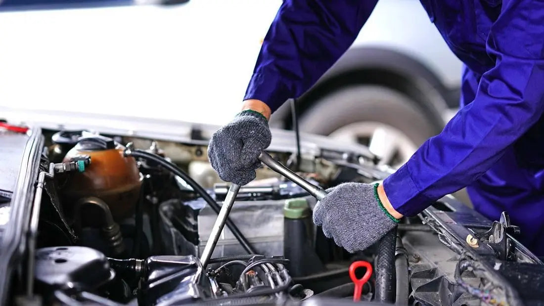 What does EGR Delete Mean? Flashark