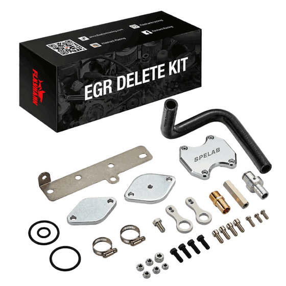 EGR Delete Kit