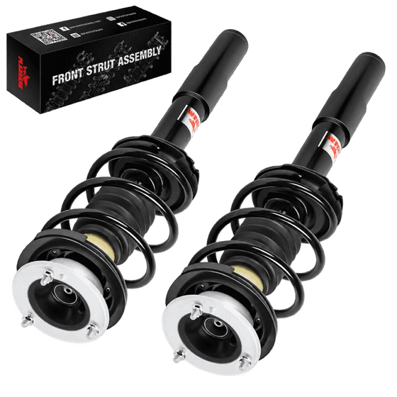Front Strut Assembly