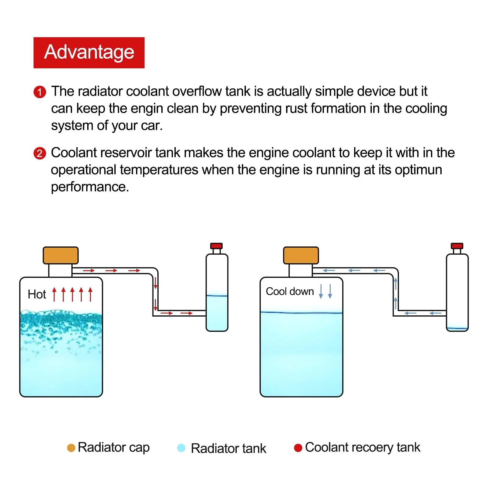 Universal Coolant Reservoir Tank Coolant Overflow Tank Aluminum Bottle 800ml  - Flashark